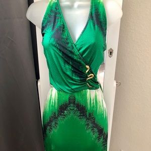 Roberto Cavalli striking green/white dress 🔥